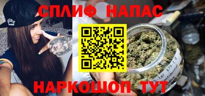 шишки Новозыбков