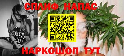 шишки Новозыбков