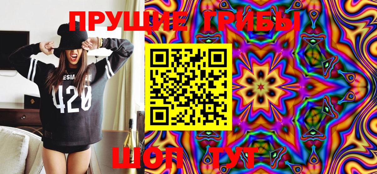 Галлюциногенные грибы MAGIC MUSHROOMS  где продают   Вход с VPN  Углич  Псилоцибиновые грибы ЛСД 