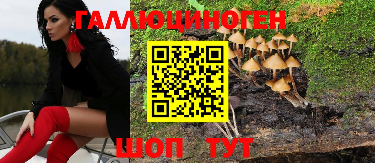 Псилоцибиновые грибы MAGIC MUSHROOMS Углич